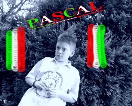 pascal